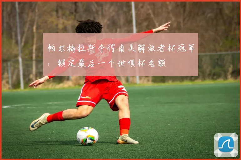帕尔梅拉斯夺得南美解放者杯冠军，锁定最后一个世俱杯名额