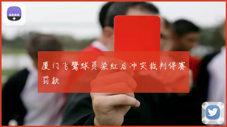 厦门飞鹭球员染红后冲突裁判停赛罚款